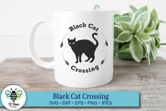 Halloween Black Cat Crossing Review