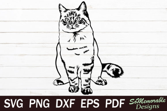 Ragdoll Cat Embroidery Design Review